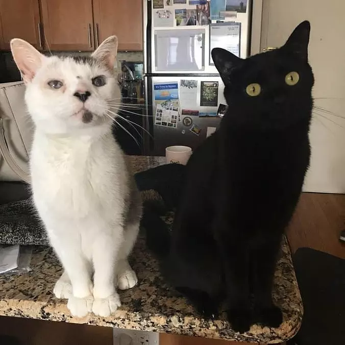 Hanging Out