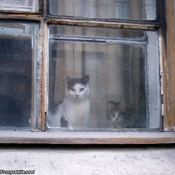 Whats Going On Out There