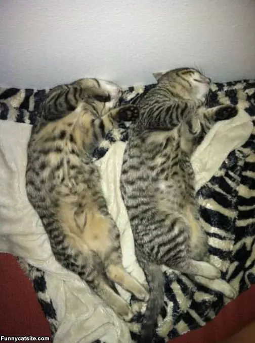How We Like Sleeping