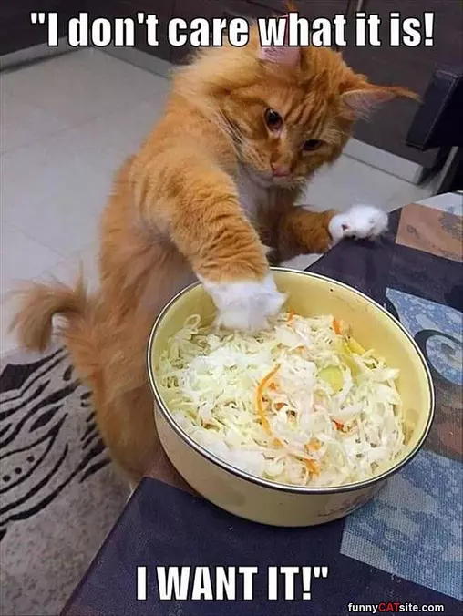 I Dont Care What It Is