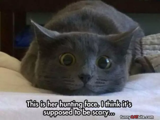 Hunting Face