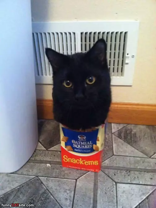 I Am Oatmeal