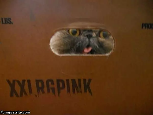 Peekaboo