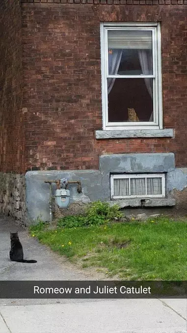 Romeo And Juliet