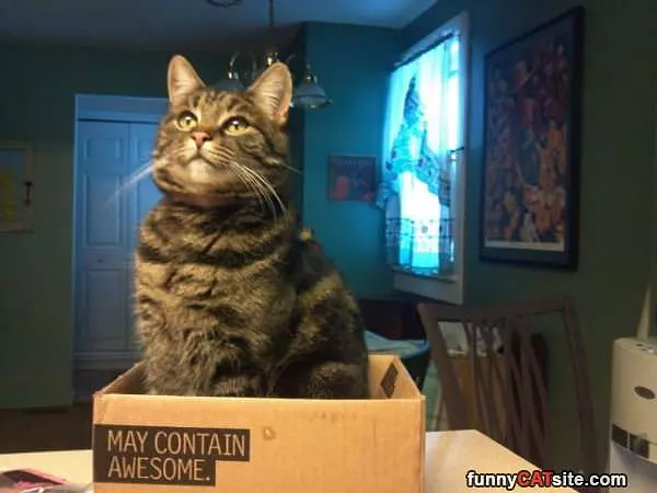 May Contain Awesome