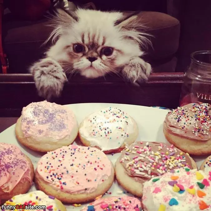 I Love Cookies