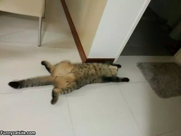 Laying On My Back