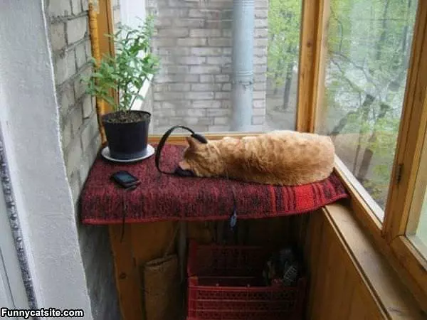 Listening To Some Music