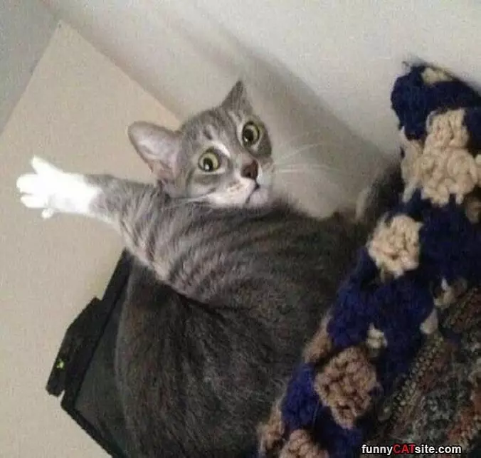 A Full Stretch