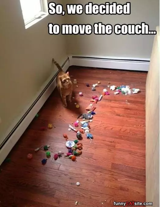 Moved The Couch