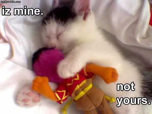Iz Mine