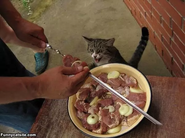 Oh Do Want