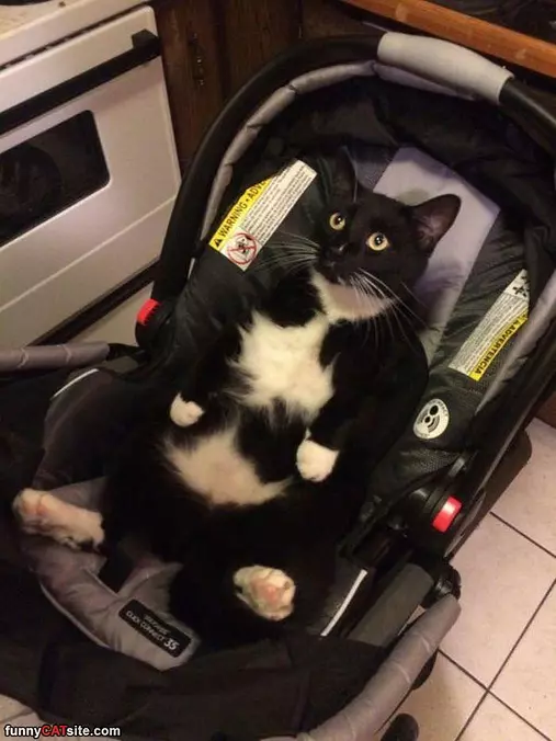 I Am A Baby Now