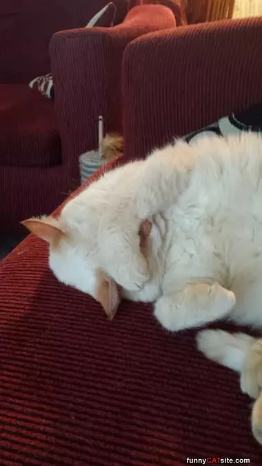 Too Bright