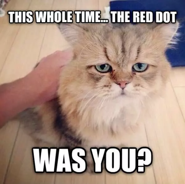 This Whole Time