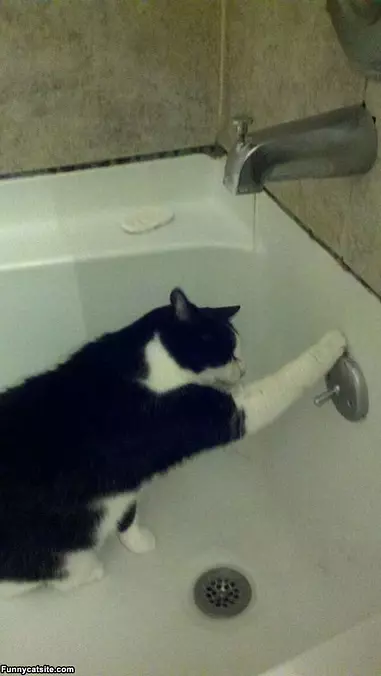 Zoey Showering