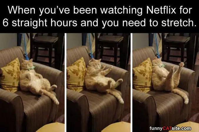 6 Straight Hours