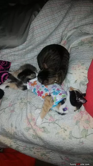 Asleep In My Pajamas