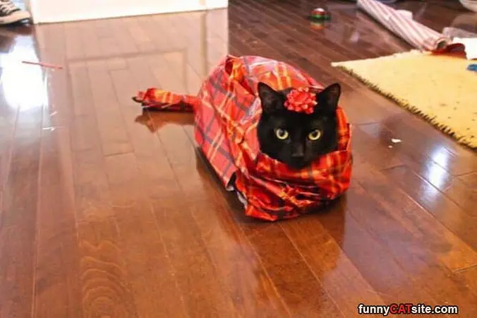 I Am A Present To You