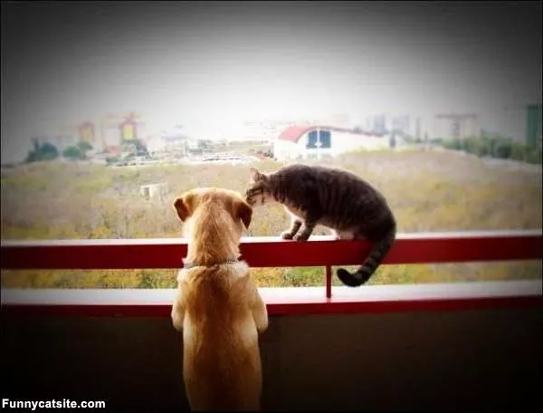 Give You A Kiss