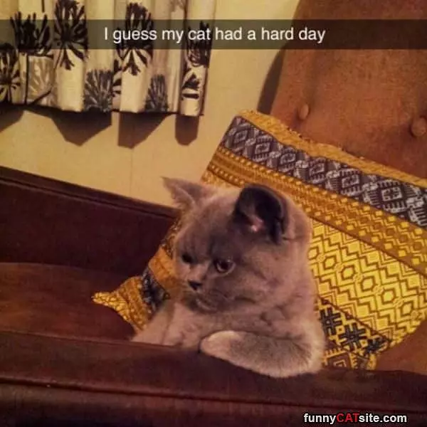 Had A Hard Day