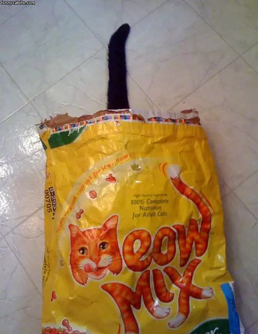 In The Bag