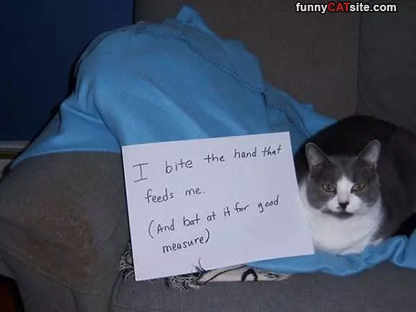 I Bite It