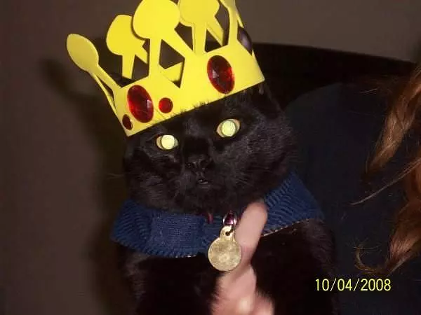 King Henry Viii