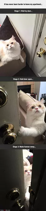 Hard To Leave The Apartment