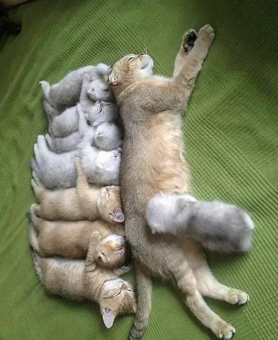 Got My Family