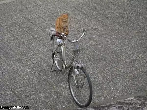 My Bike