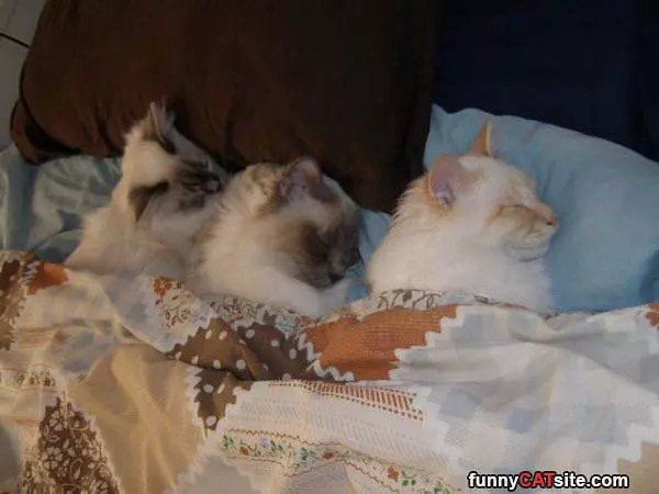 We Are All Tucked In