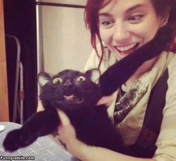 Strange Cat Smile