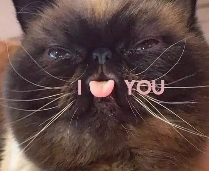 I Love You
