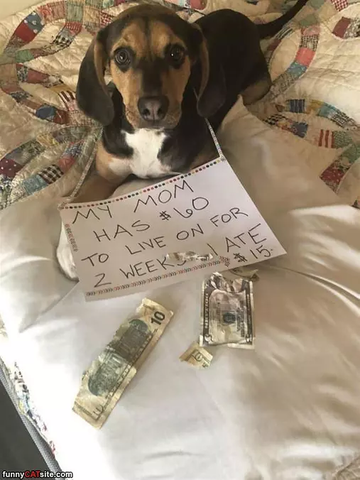 My Moms Money