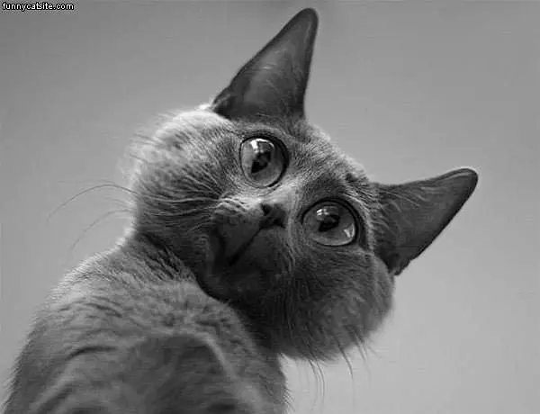 Photoshopped Eyes