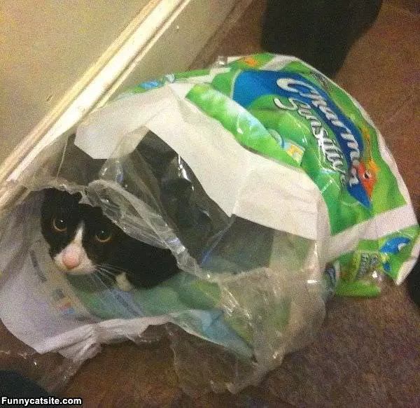 In My Bag