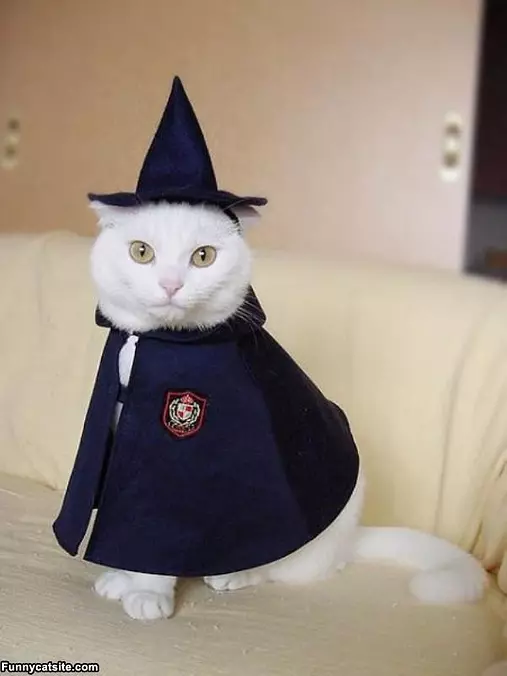 Wizard