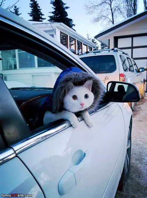 Keeping Very Warm
