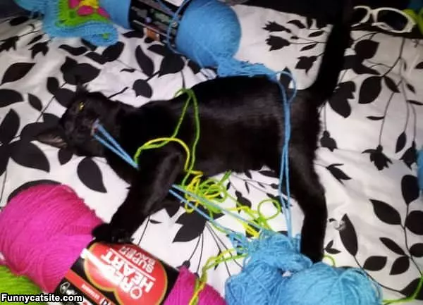 This Yarn Is Awesome