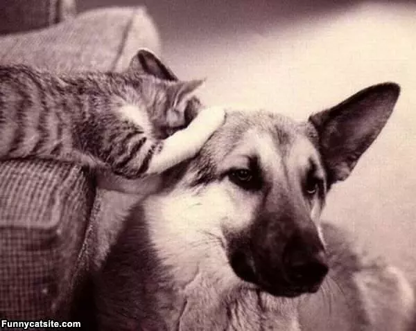 Whispering Secrets