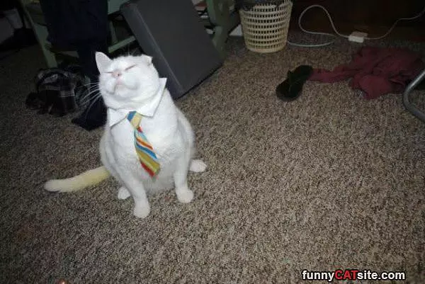 Ready For Work