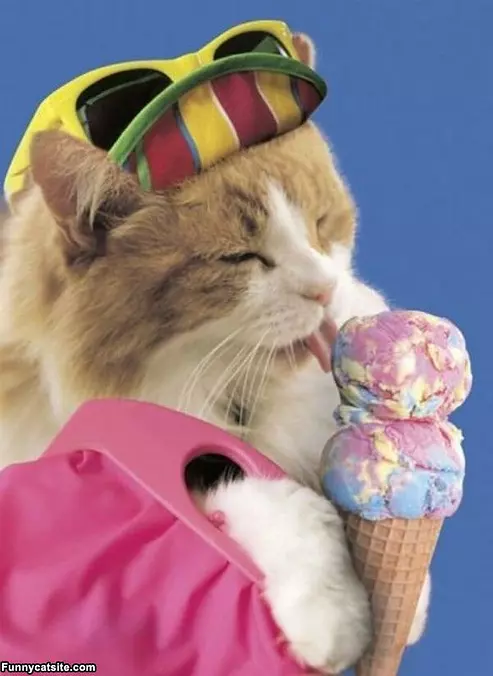 Give Me Ice Cream
