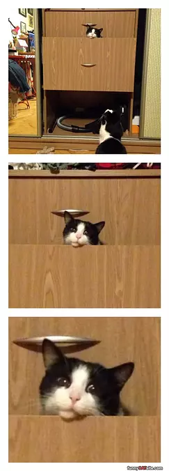 I Enjoy This