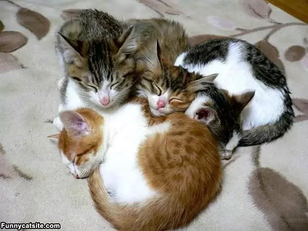 We Are So Tired