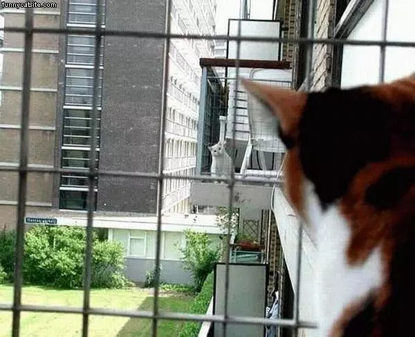 Long Distance Relationship