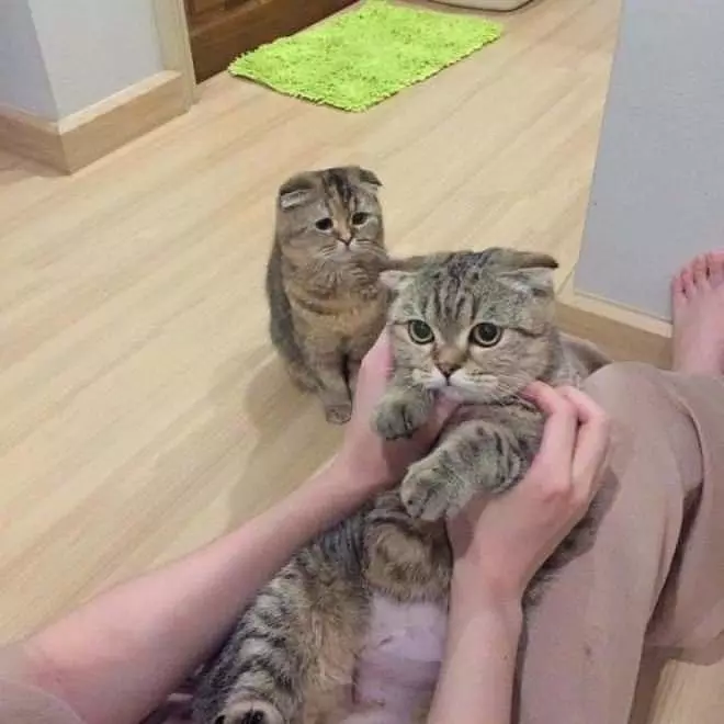 I Want Rubs