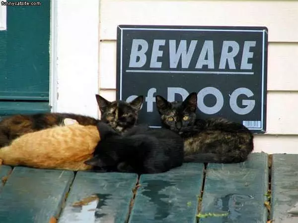 Beware