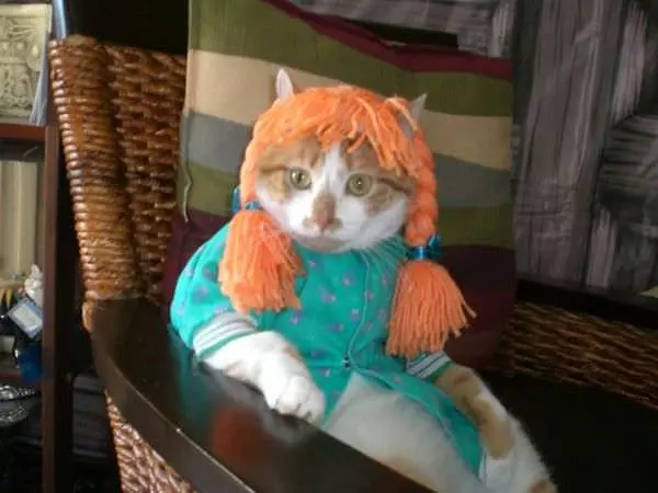 I Have Orange Hair