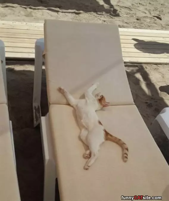 Getting A Tan